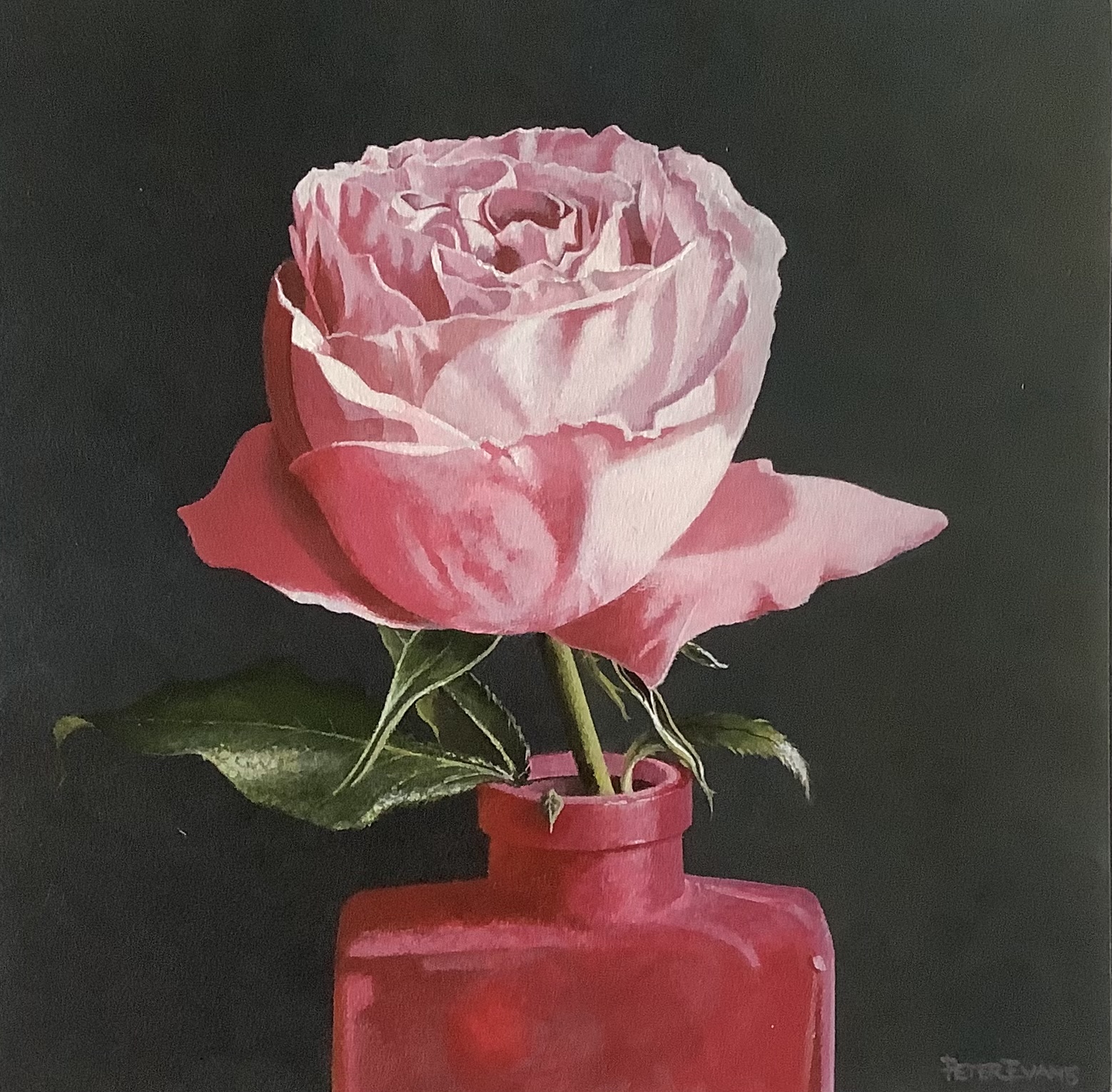 86E5CCE8 B8F1 44F5 B7DF 9B5BF8DE1EE9